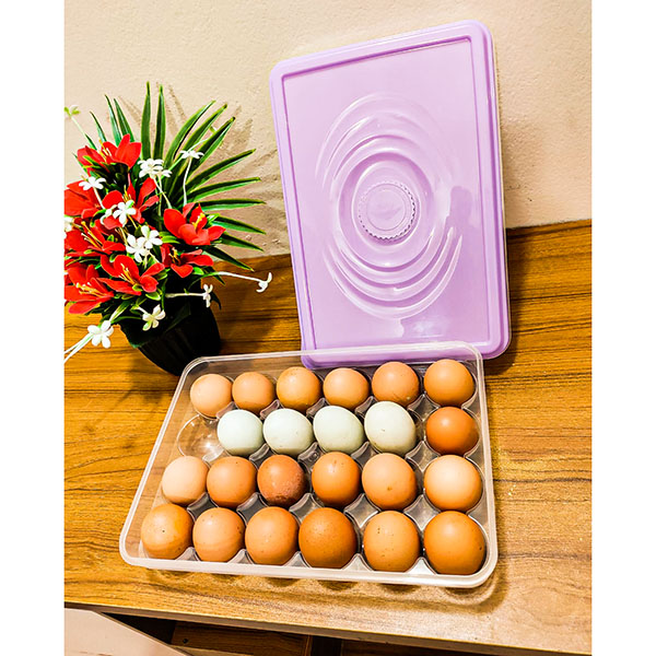 24 Grid Egg Storage Box