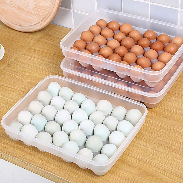 34 Grid Transparent Egg Box