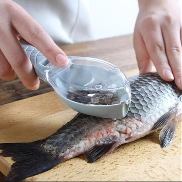 Fish Scales Scraping Tool