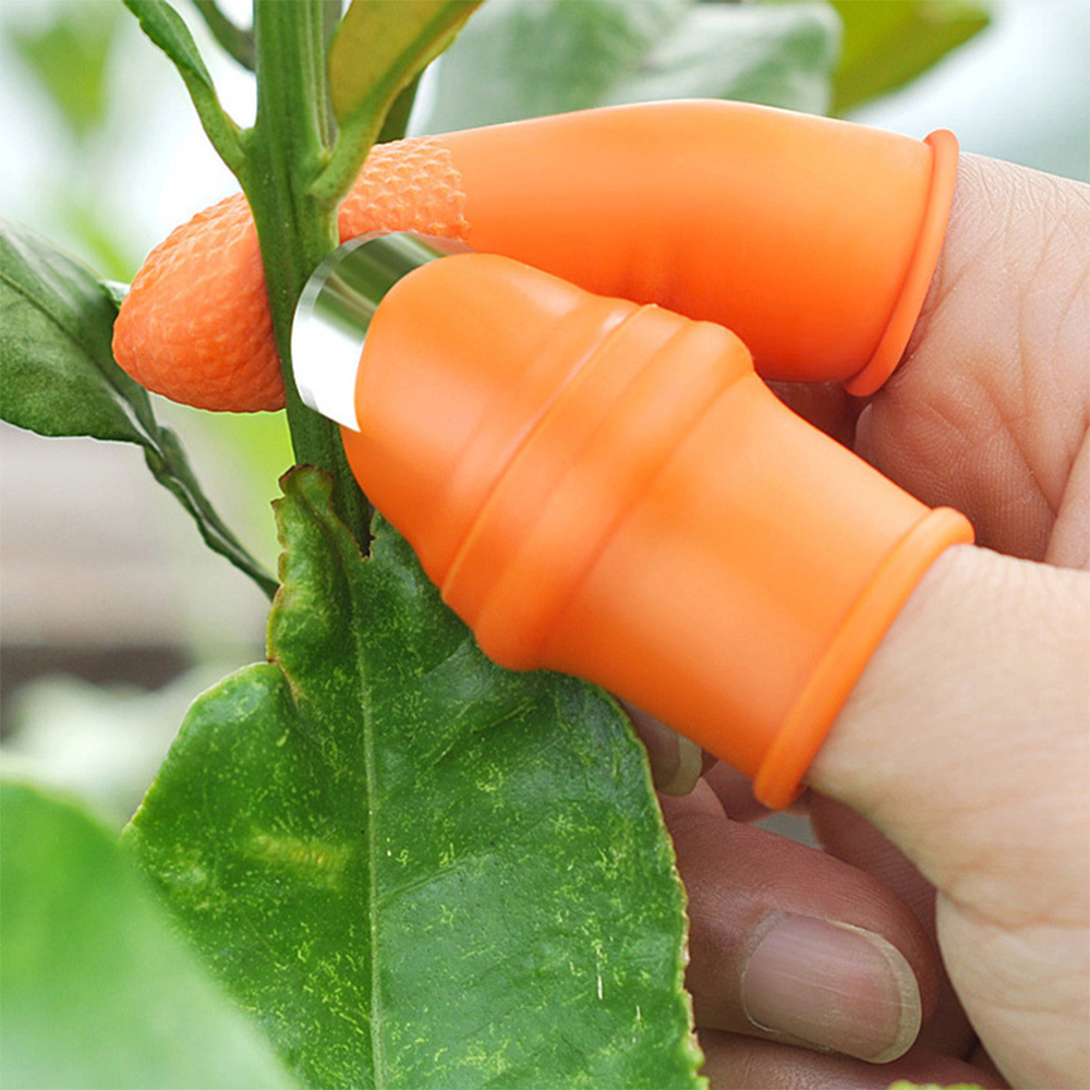 6 In 1 Silicone Vegetable Thumb Cutter