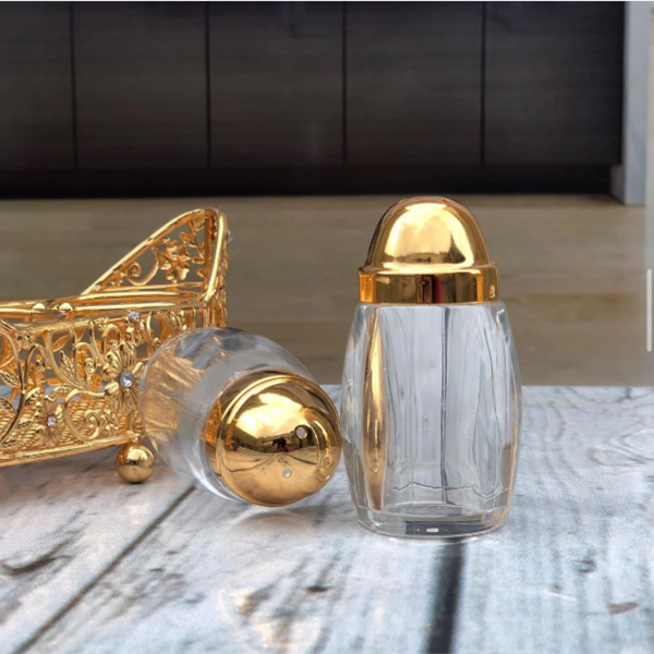 Premium Salt and Seasoning Shakers