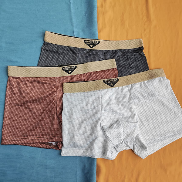 Woven Texture Men Ice Silk Boxer